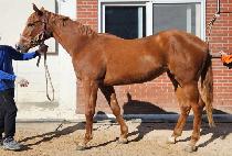 ������ (WORLD RUBY) ����