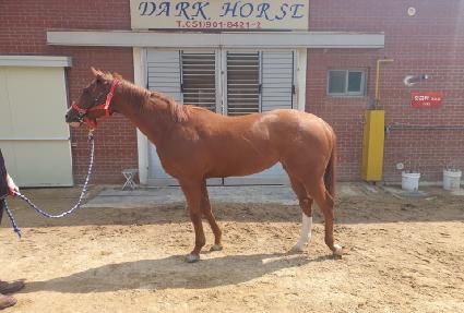 �׷���ü�̼� ����