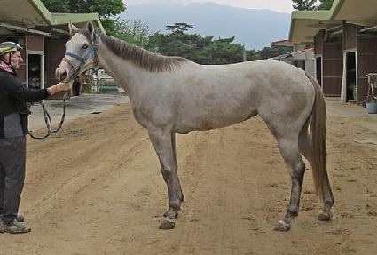 �׷��̸��� ����