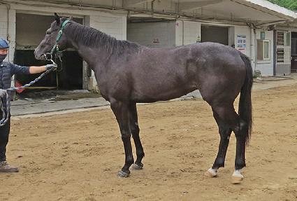 �ݾ����� ����