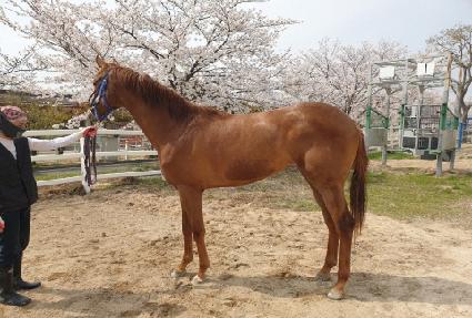 ���̿������ ����