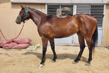 ����Ÿ ����