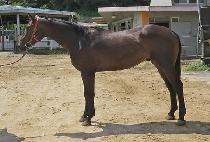 �̽�Ʈ����Ƽ (EAST QUALITY) ����