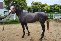 ���뷹���� (GUKDAE LEGEND) ����