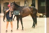 ������ (GALLOP) ����