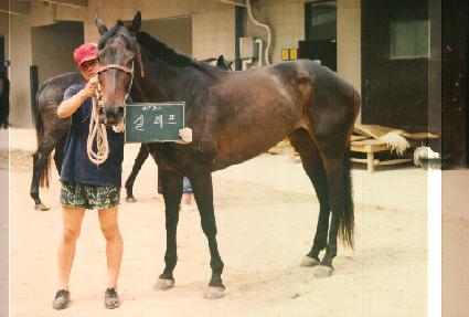 ������ ����