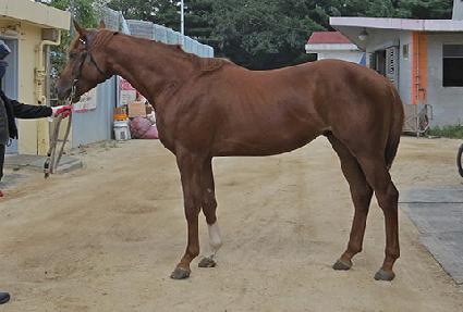 ��Ŭ�����Ƴ� ����