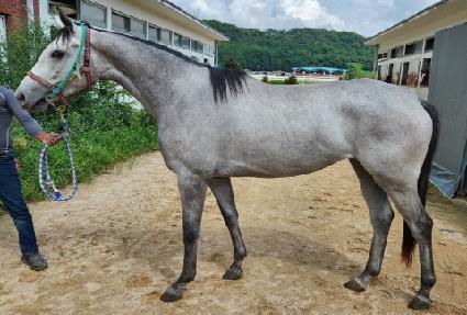 ��� ����