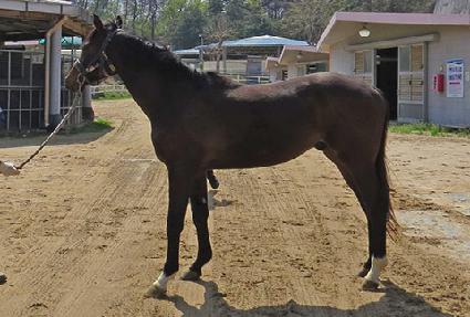 �ö���ŷ ����