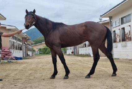 �ϴ����� ����