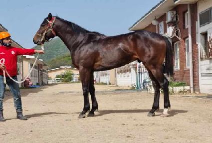 ����Ʈè�� ����