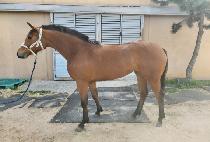 TWOTWO MONEYGUN picture