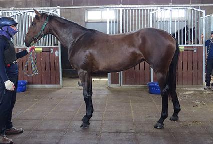 �Ⱦ�õ�� ����