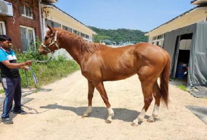 �ݾƺ긮��ũ ����