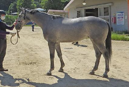 ���Ǵ�Ʈ�Ƴ� ����