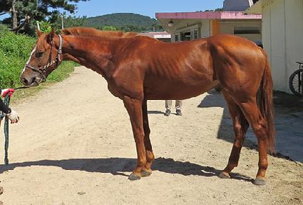 �巡����Ÿ�� ����