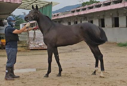 �ö���Ȧ�� ����