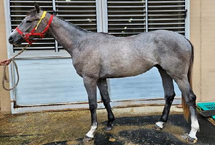 �������� ����