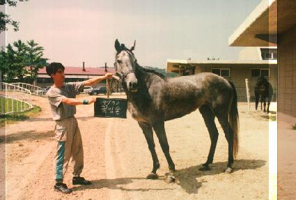 �ɸ��� ����