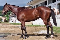 �ε�����Ƽ (ROAD TO PARTY) ����