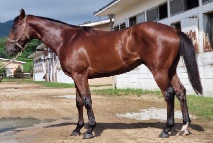 �ε�����Ƽ ����