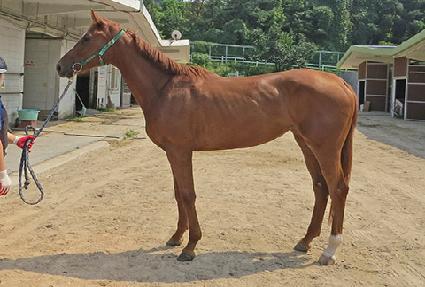 ���� ����