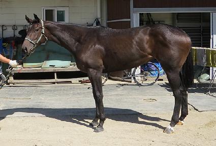 ���عٴ� ����