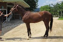 ���̿��� (HIGH END) ����