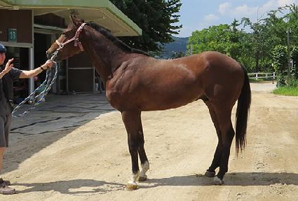 ���̿��� ����