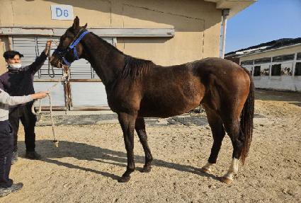 �������� ����