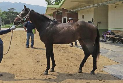 ���������� ����