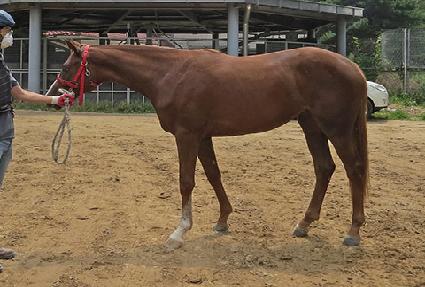 �л��� ����