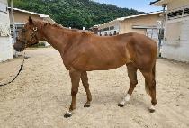 �λ������� (BUSAN TODAY) ����