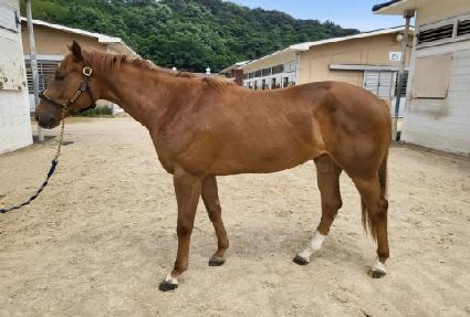 �λ������� ����