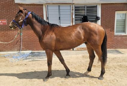 �׷���Ʈ���� ����