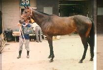 �ݻ�� (KEUM SAN SA) ����