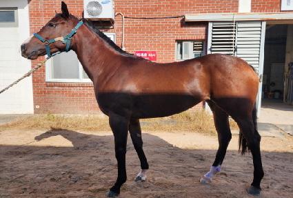 �������� ����