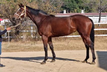 ����Ʈ�� ����