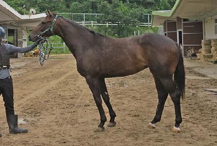 õ�� ����