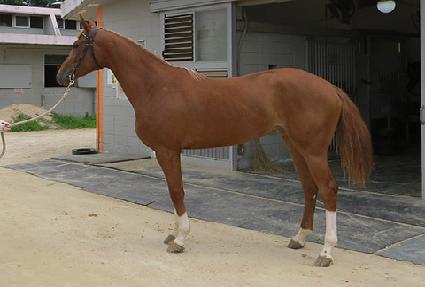 �����׷� ����