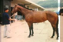 �溹�� (KYOUNG BOK GOONG) ����