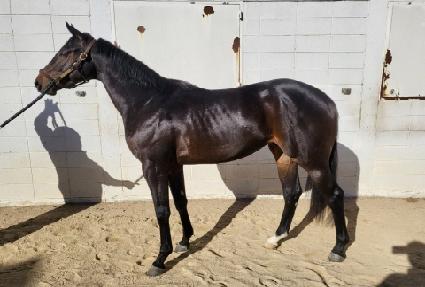 �ε��������� ����