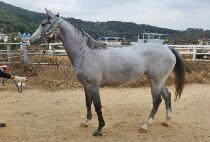 ���������� (PRIME JOY) ����