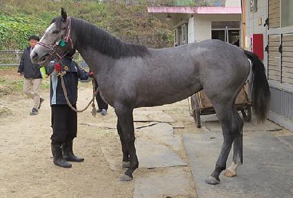 ��ž ����