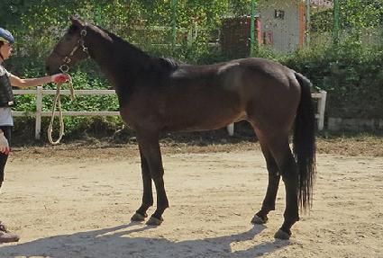 ķ�����̺�� ����