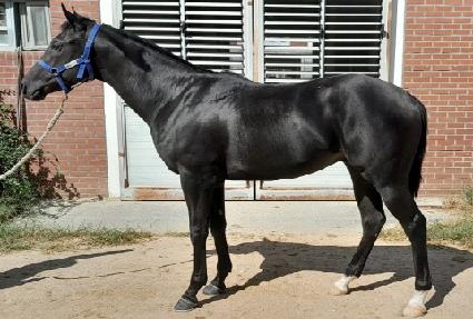 ���·� ����