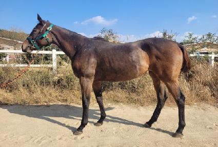 ���ָ����� ����