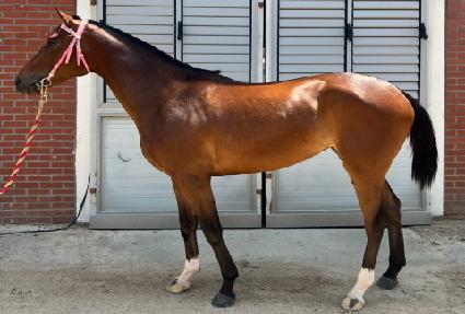 ��´������� ����