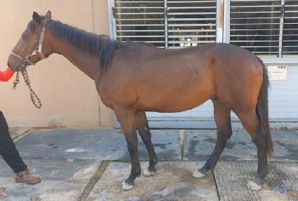 �ϴý�ȭ ����