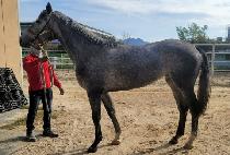 ��Ŭ���� (WIN CLASS) ����